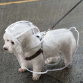 🐶 Capa de Chuva para Cães