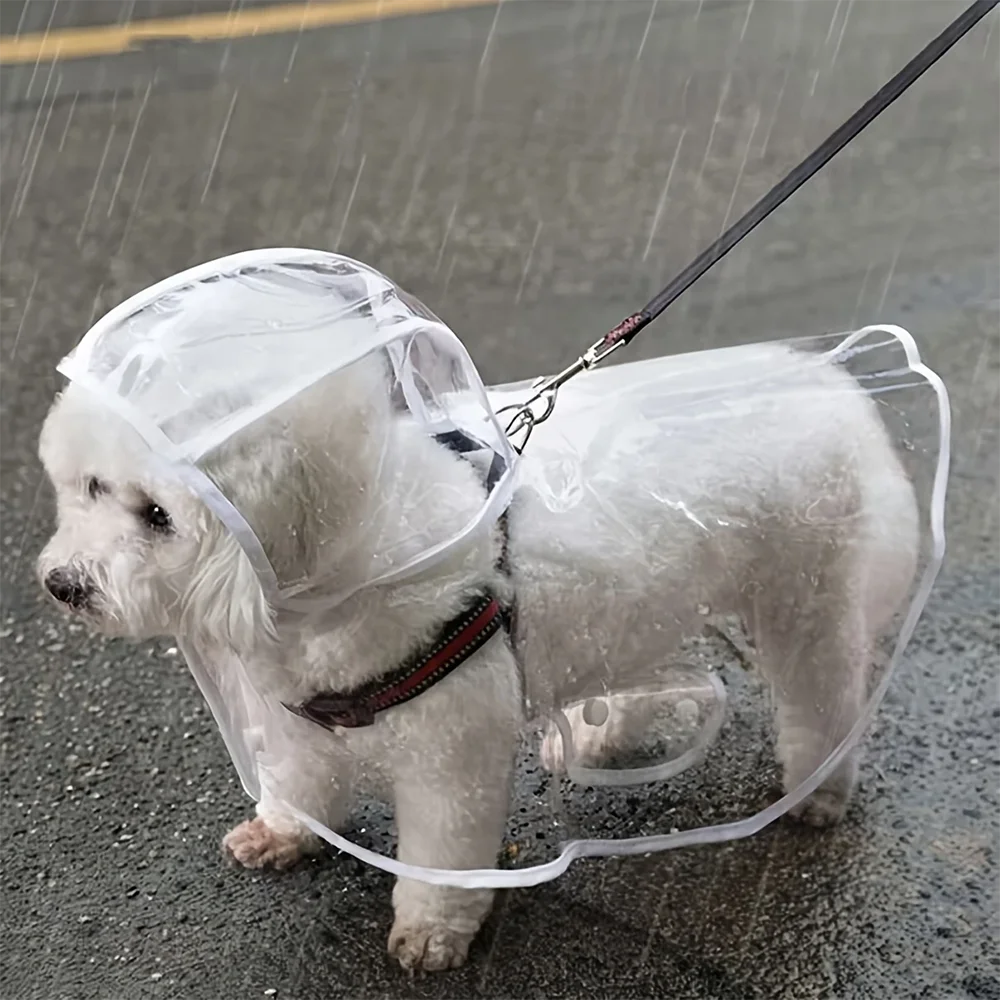 🐶 Capa de Chuva para Cães