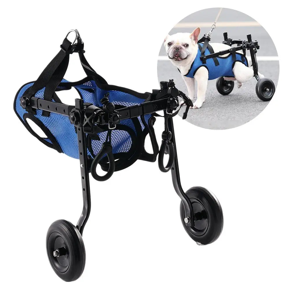 Mobility Assistance Light Pet Walk Tools