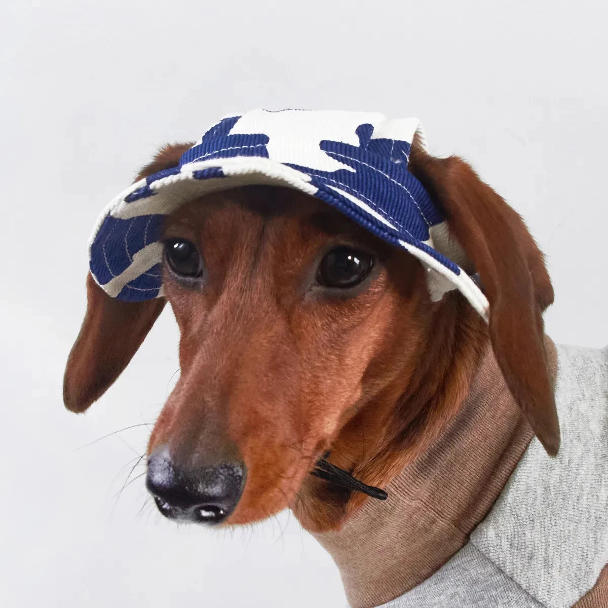 🐶 Adjustable Dog Sun Hat