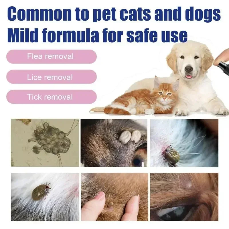 🐶 Pet Flea &amp; Tick Spray – 100ml