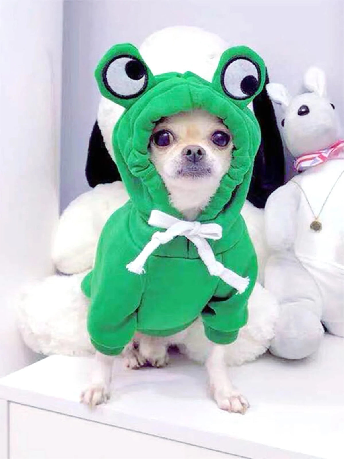 🐶 Frog Style