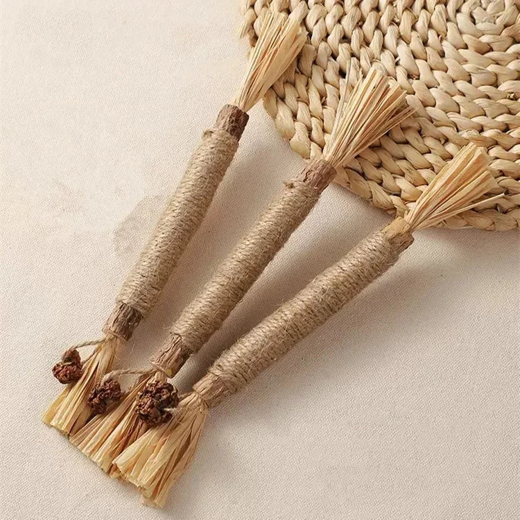 🐱 Raffia Grass Cat