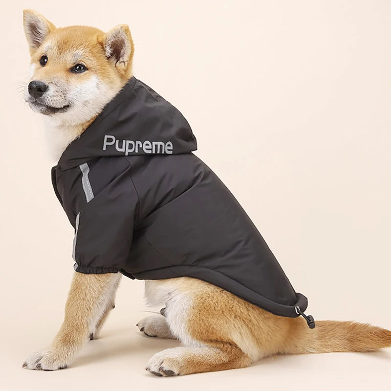 Autumn Winter Pet Dog