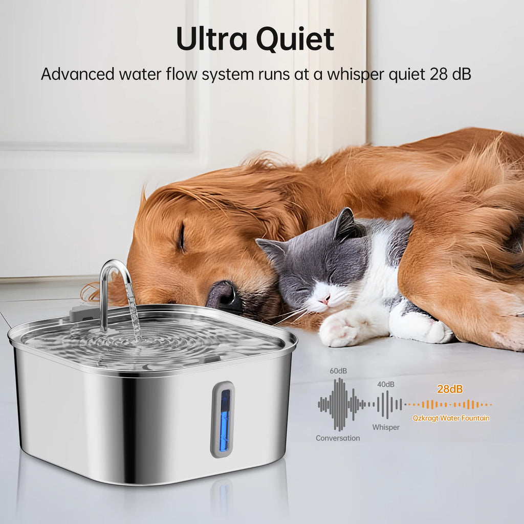 🐶 Large Dog Water Dispenser – 14L