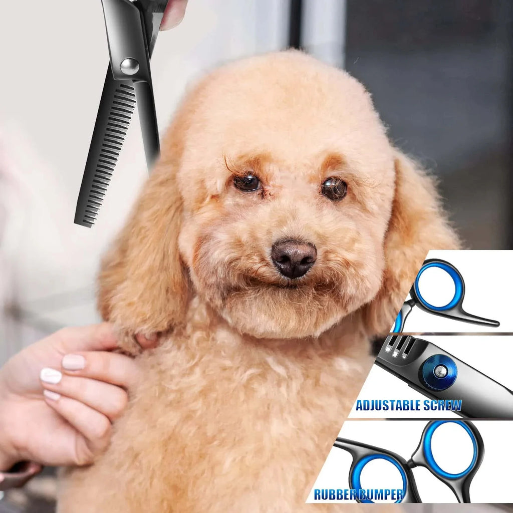 🐶 Professional Dog Grooming
