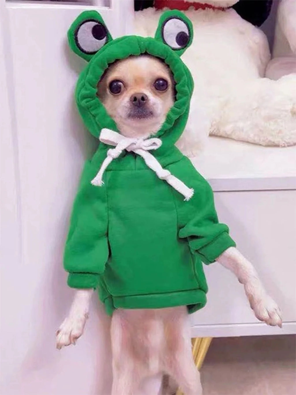 🐶 Frog Style