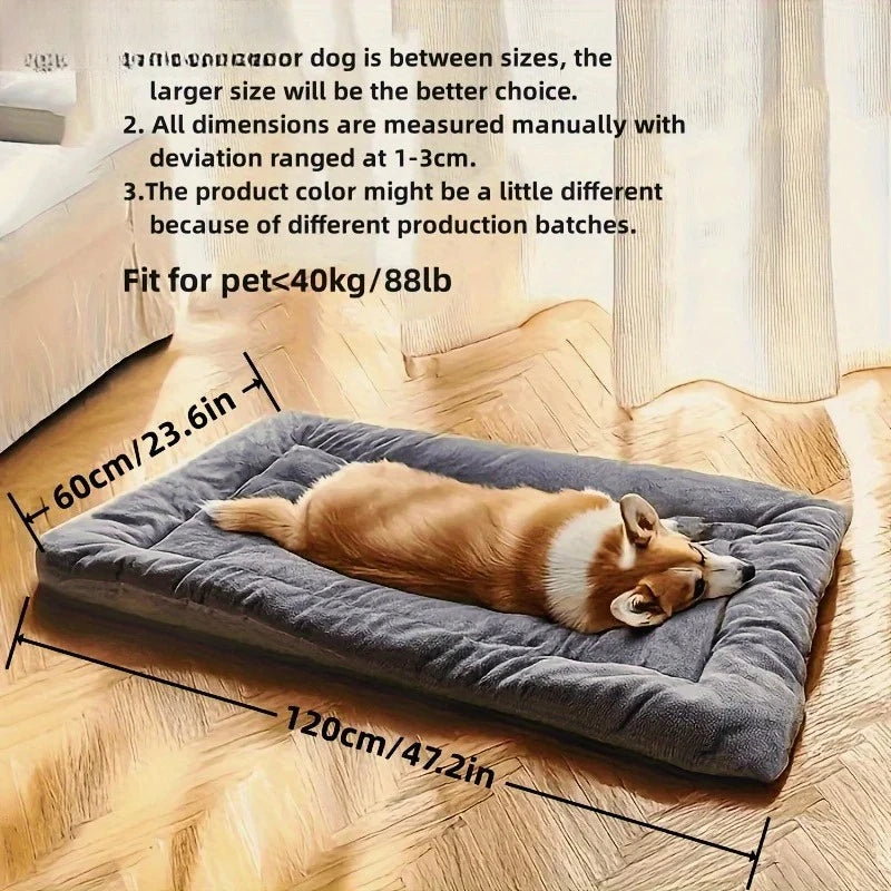 🐶 Large Plush Dog