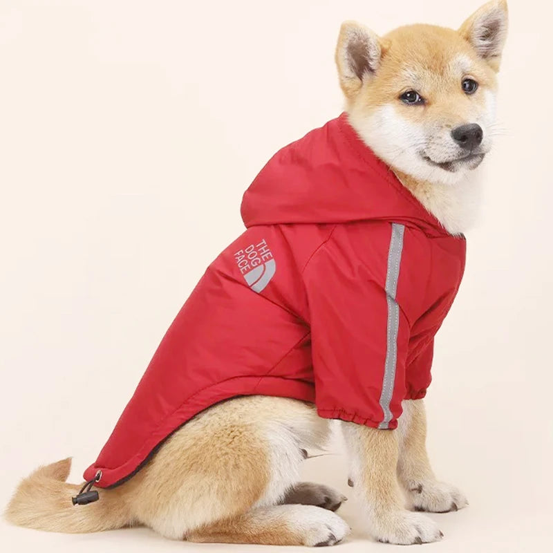 Autumn Winter Pet Dog