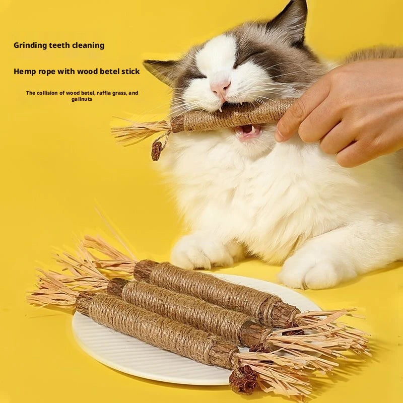 🐱 Raffia Grass Cat