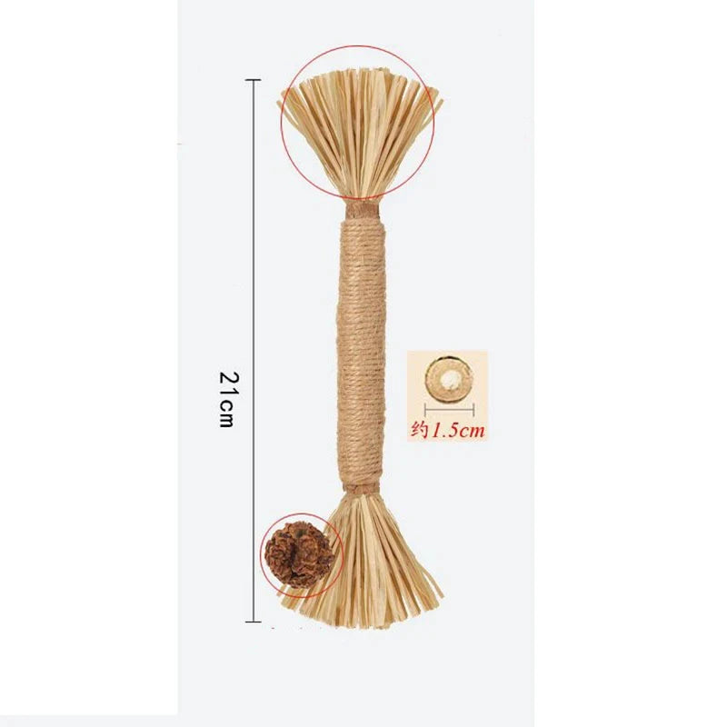 🐱 Raffia Grass Cat