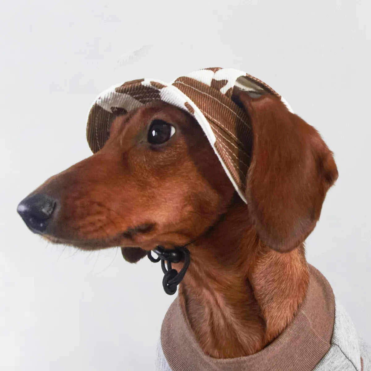 🐶 Adjustable Dog Sun Hat