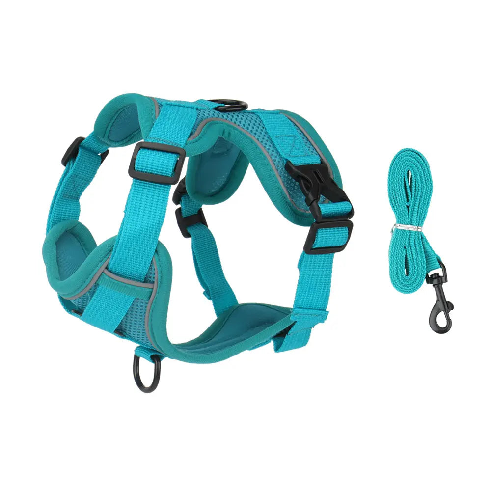 🐶 Dog Harness with
