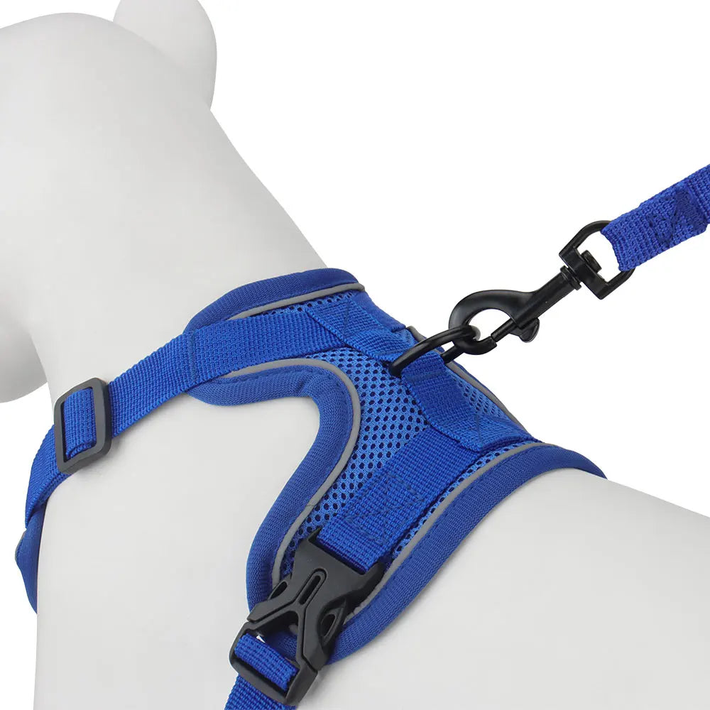 🐶 Dog Harness with