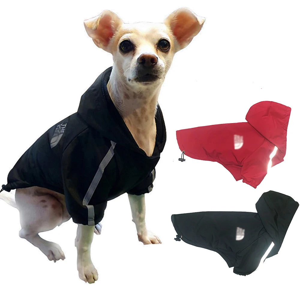 Autumn Winter Pet Dog