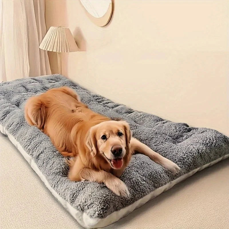 🐶 Large Plush Dog