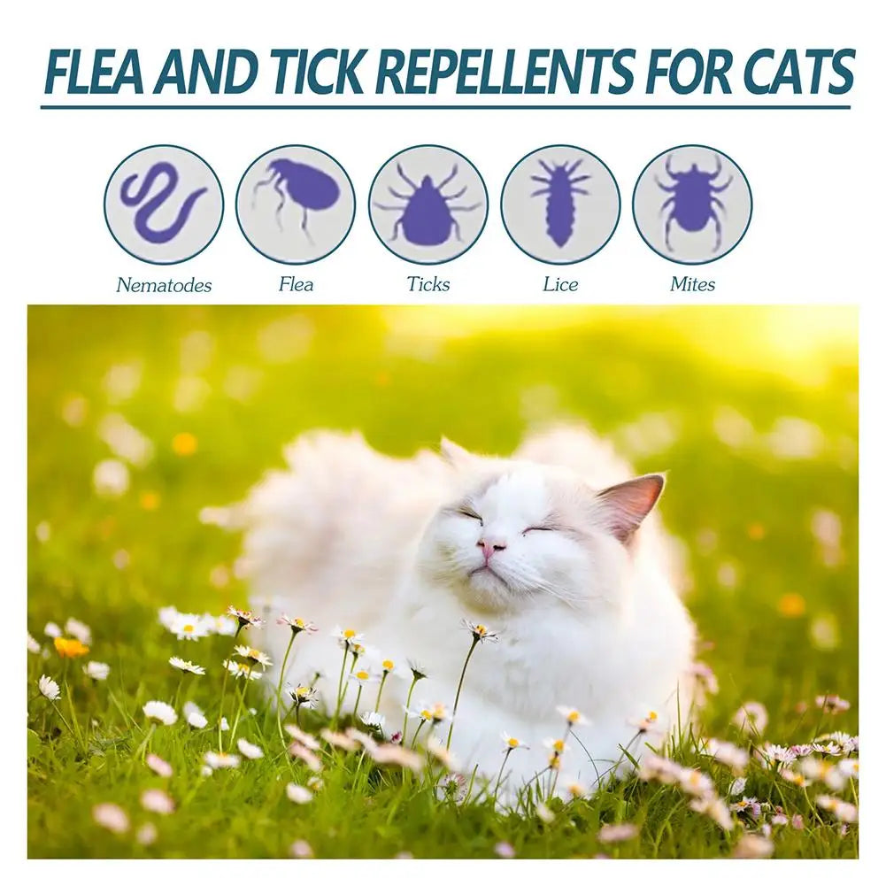 🐶🐱 Insect repellent