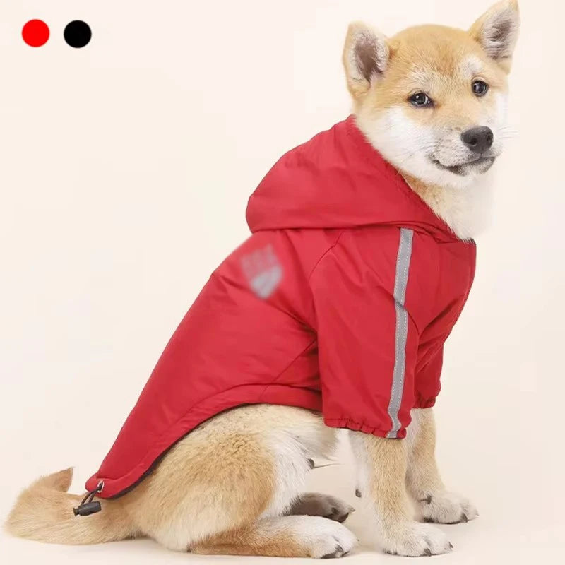 Autumn Winter Pet Dog