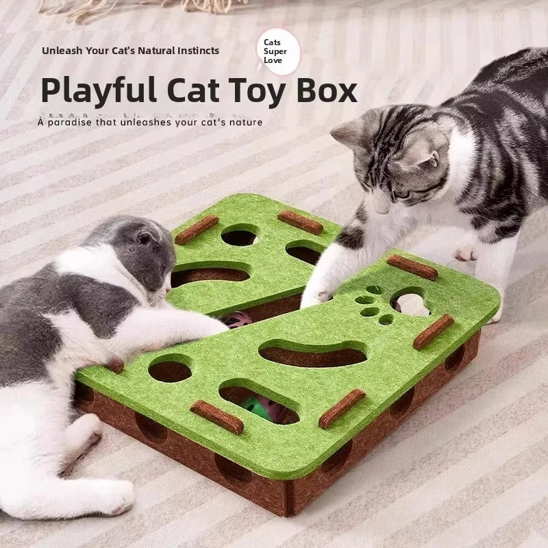 Multifunctional Cat Toy