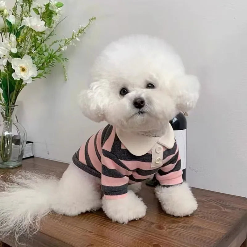 🐶🐱  Striped Pet Dog Clothes