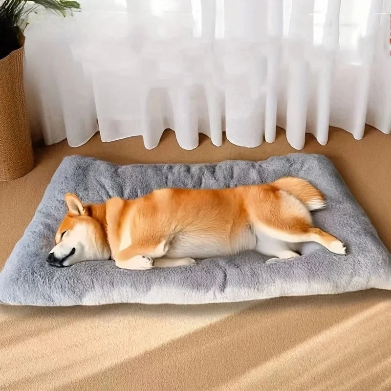 🐶 Large Plush Dog