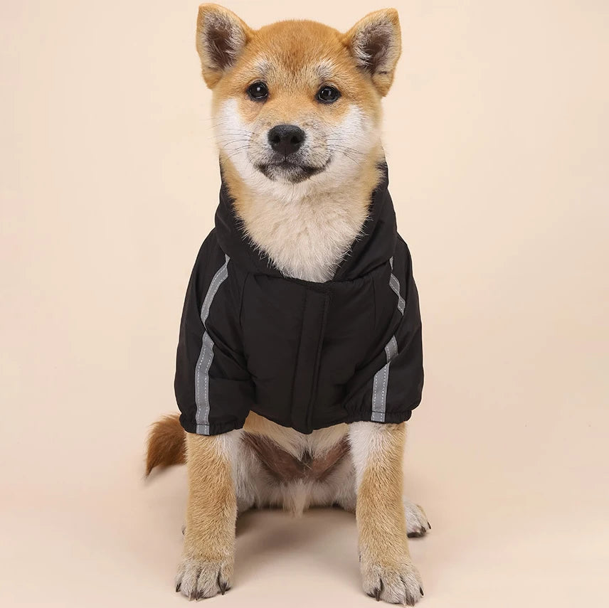 Autumn Winter Pet Dog