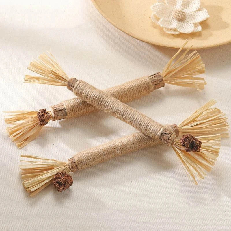🐱 Raffia Grass Cat