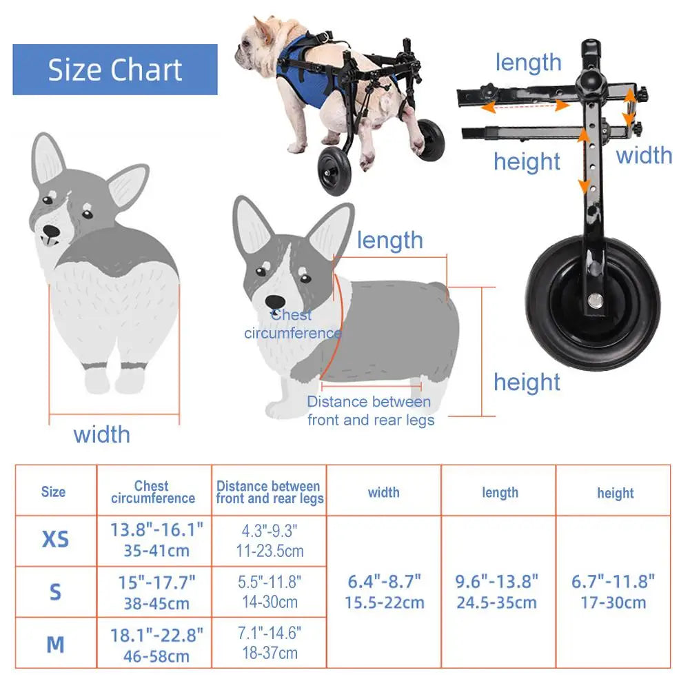 Mobility Assistance Light Pet Walk Tools