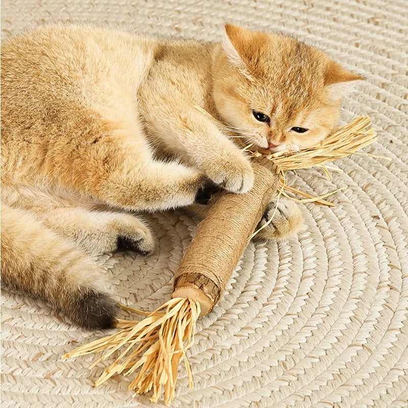 🐱 Raffia Grass Cat