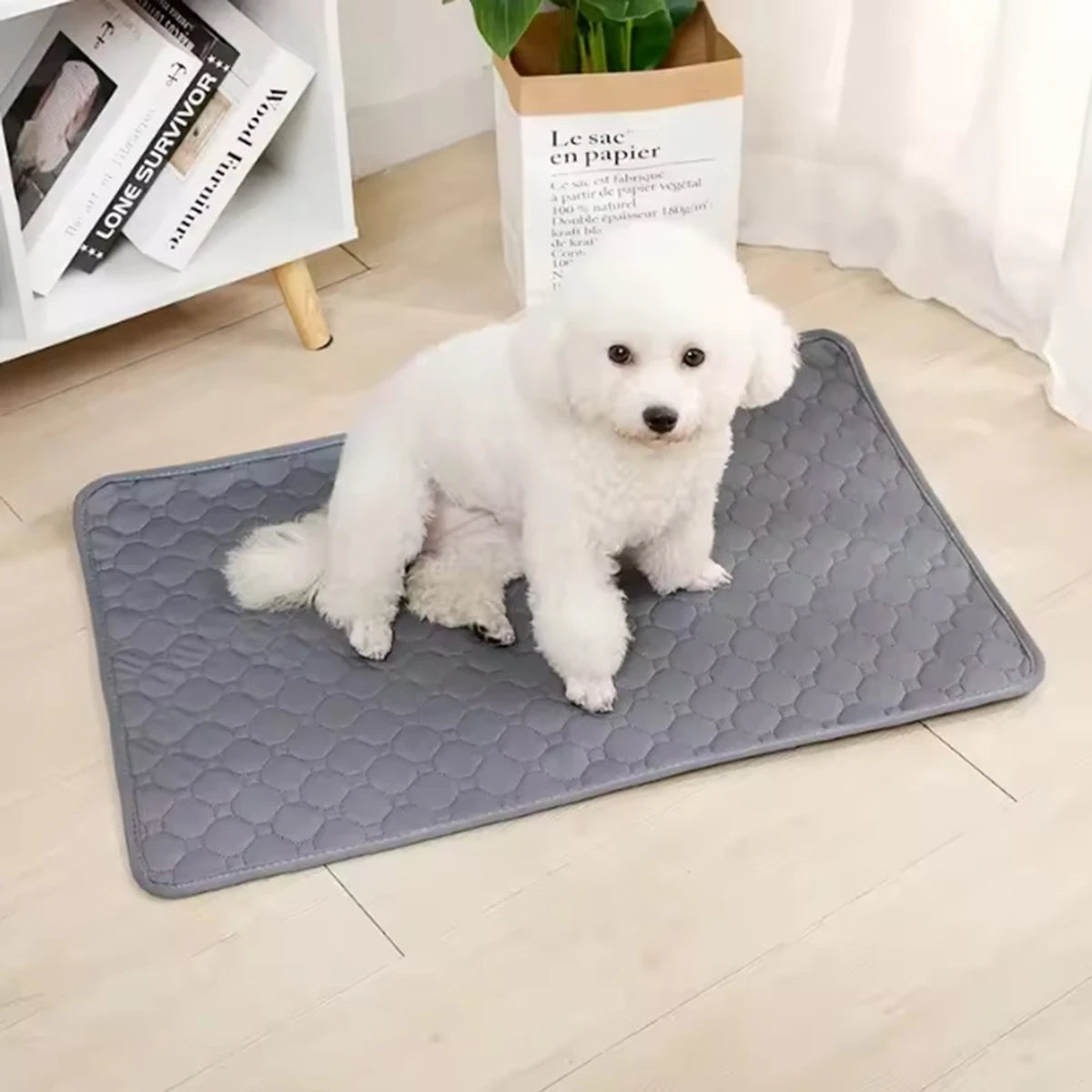 🐶 Tapete Confortável para Cães