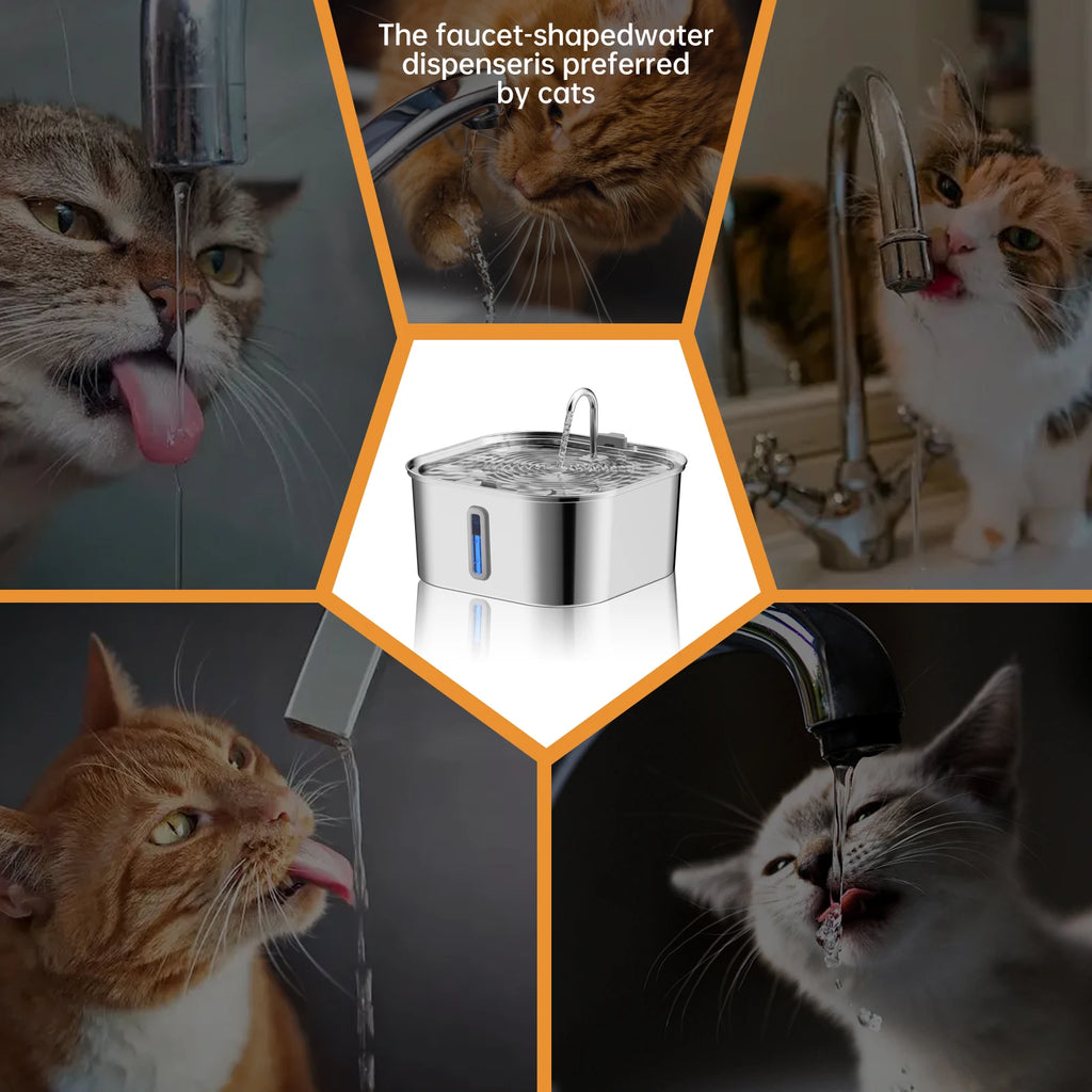 🐶 Large Dog Water Dispenser – 14L