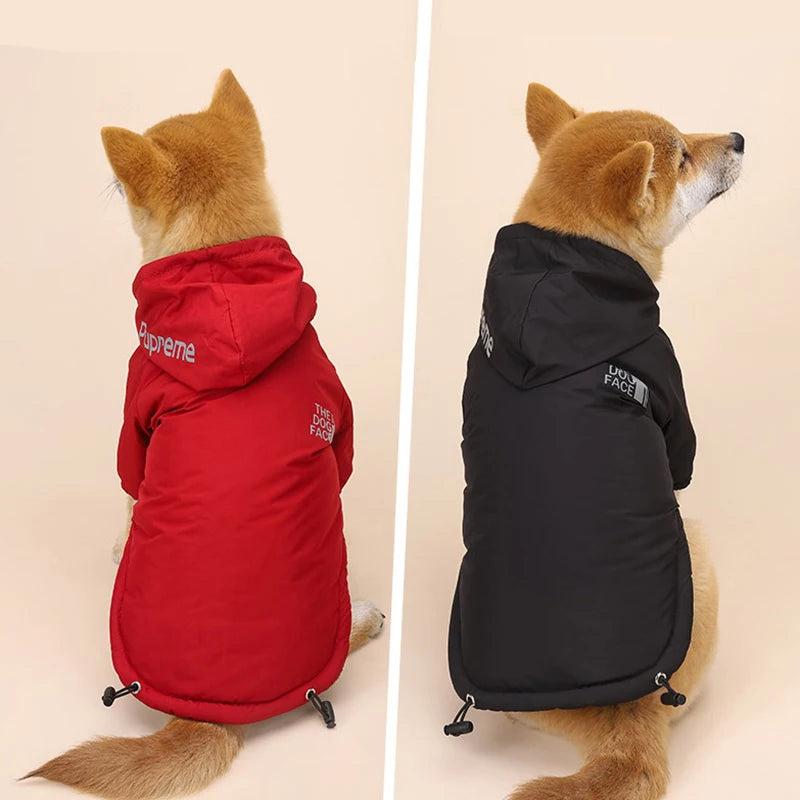 Autumn Winter Pet Dog