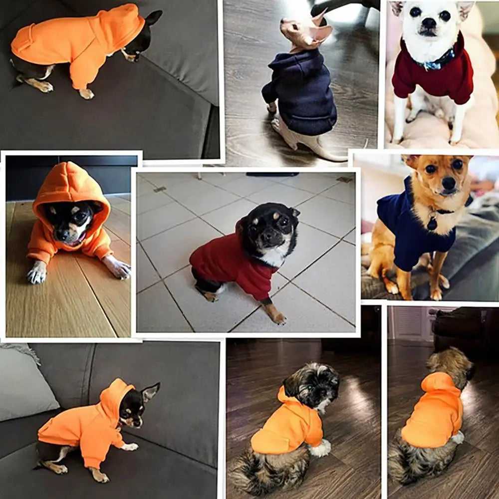 🐶🐱 Moletom com Capuz para Cães e Gatos