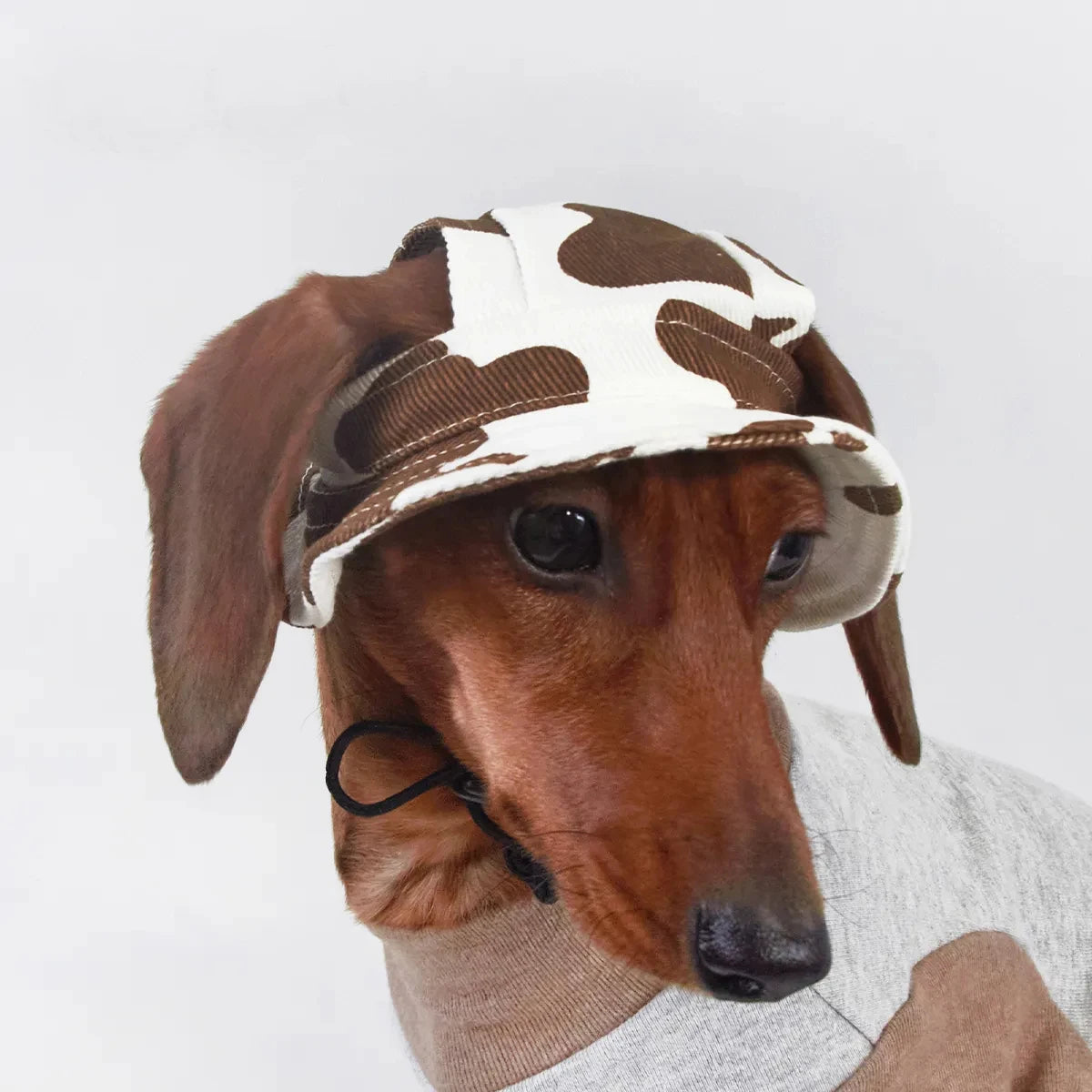🐶 Adjustable Dog Sun Hat