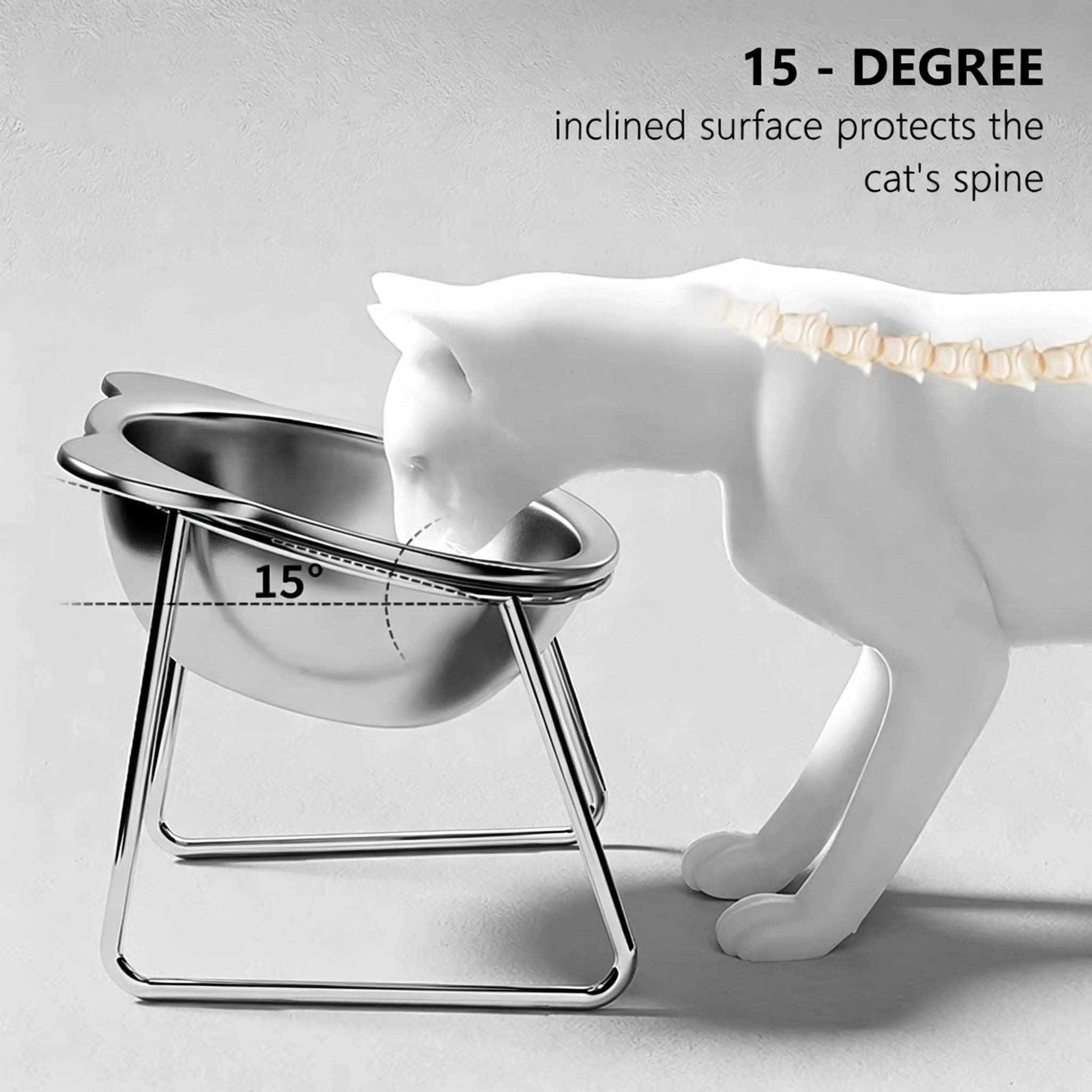 🐱 Elevated Stainless Steel Cat Bowl