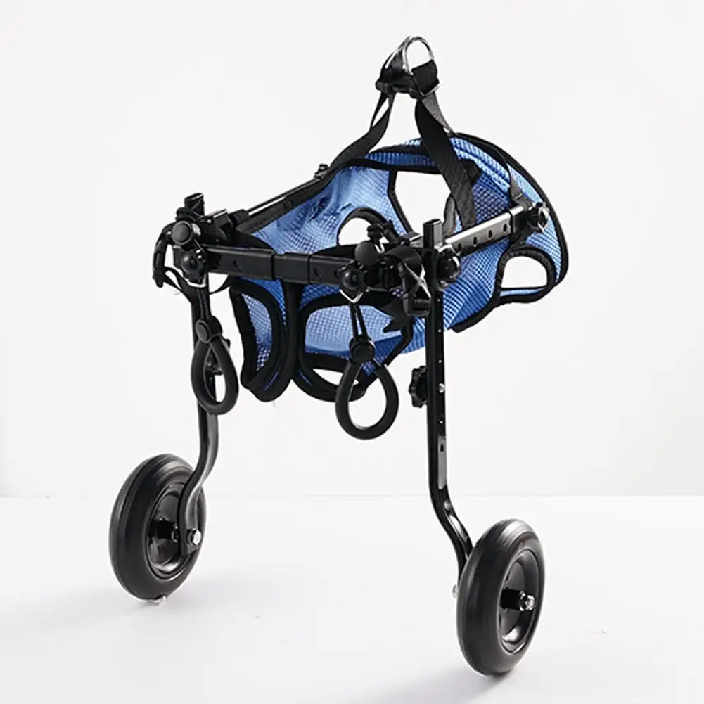 Mobility Assistance Light Pet Walk Tools
