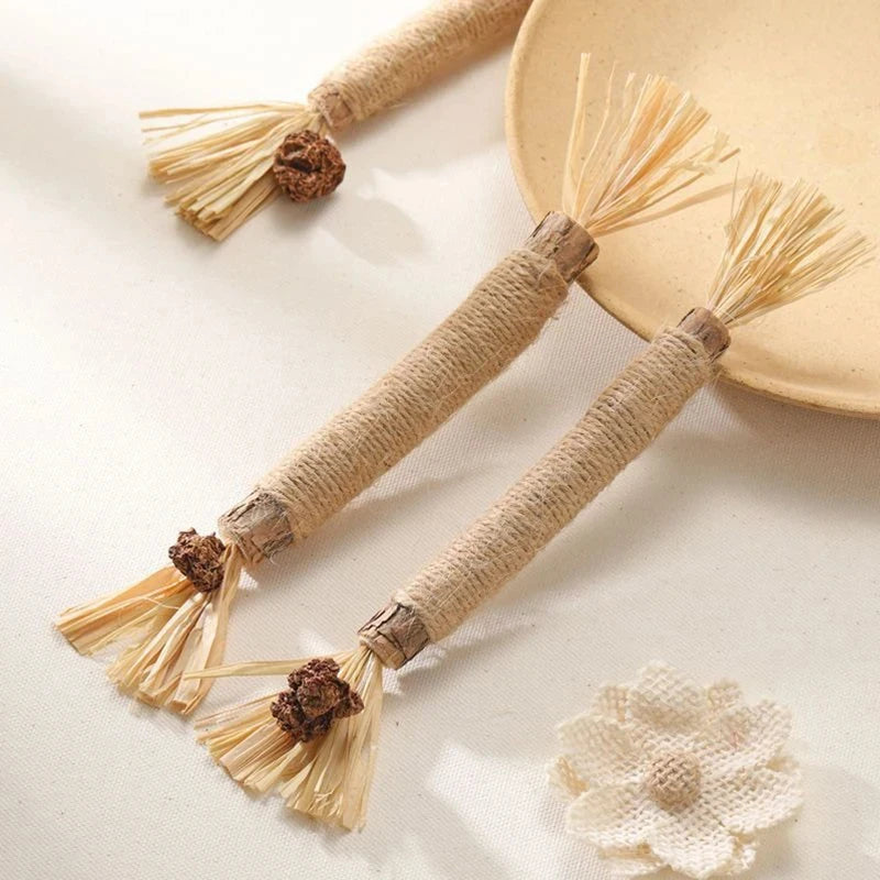 🐱 Raffia Grass Cat