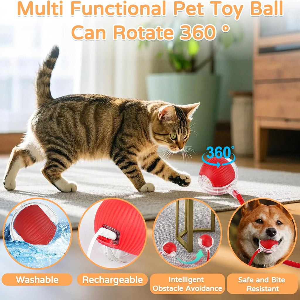 🐱⚡ Bola Interativa Automática para Gatos