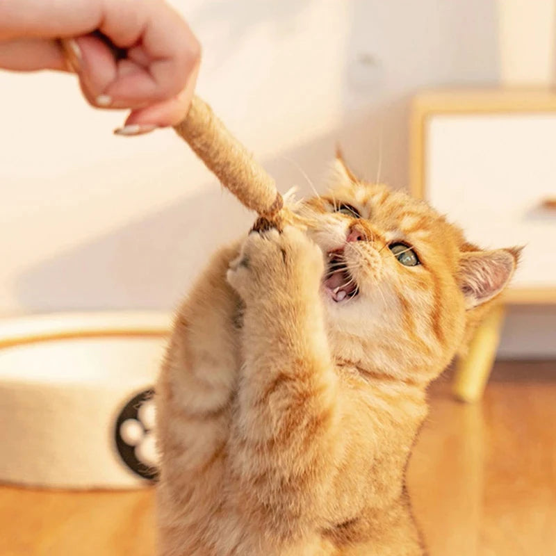 🐱 Raffia Grass Cat